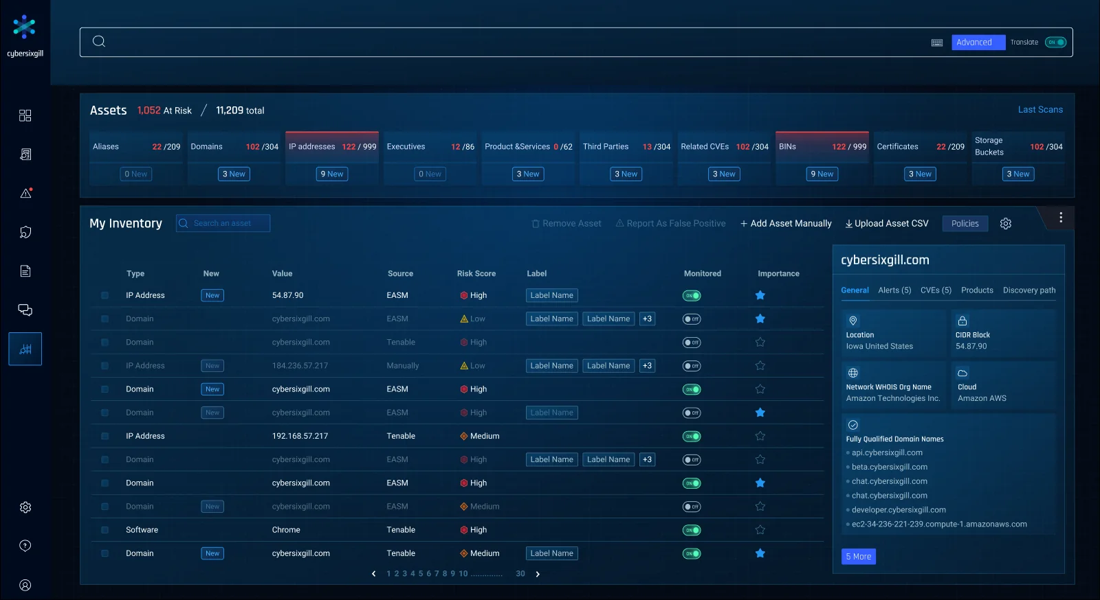 Asset inventory: counts per asset type with new items, a risk-scored table and a details panel for one domain