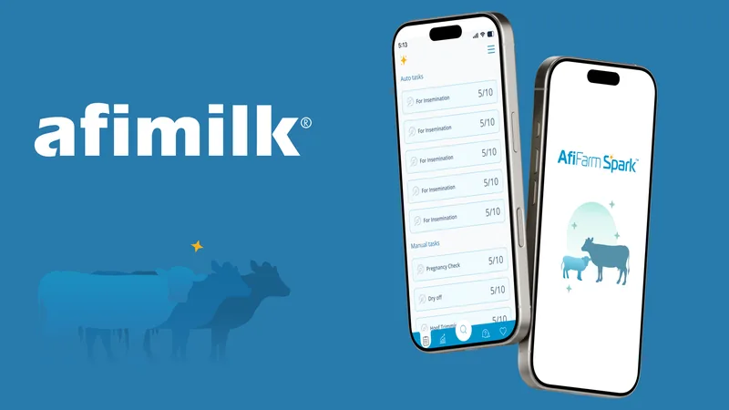 Afimilk's redesigned farmer app on two phones, showing the daily task list